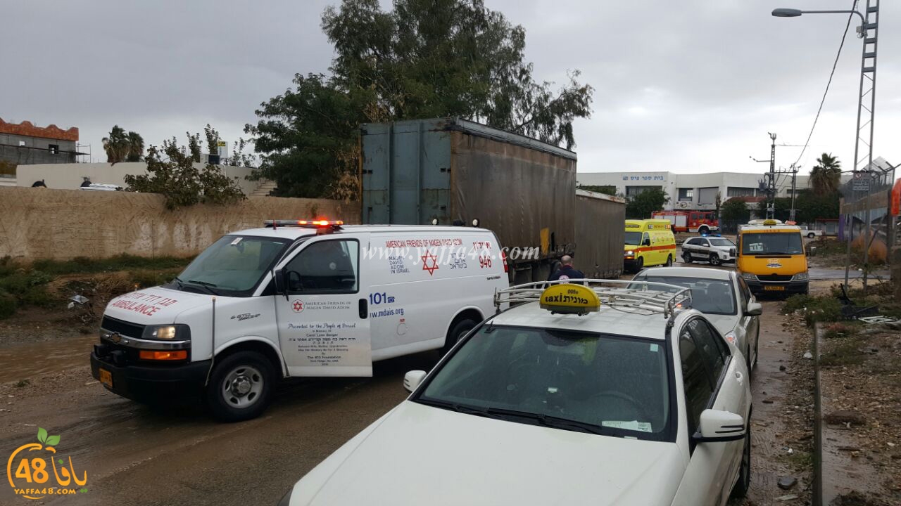 Car lud jana (4).jpg